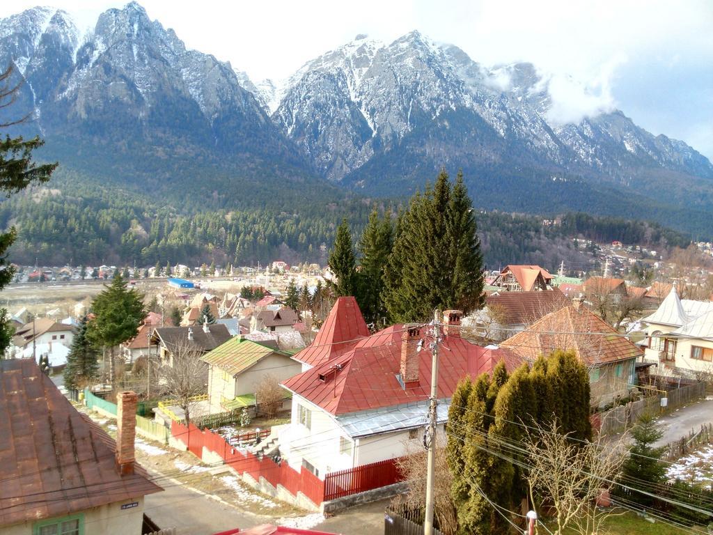Vila Marcela Buşteni Quarto foto